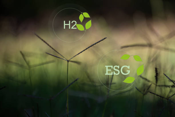 Pioneering a Greener Future: Bio-Based Ethyl Acetate for Eco-Conscious Industries